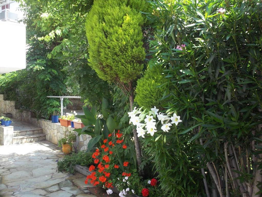 Fotini'S Studios 1 Toroni Dış mekan fotoğraf